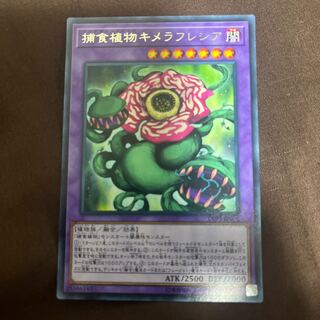 Predaplant Chimerafflesia Rare JP072