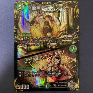 Dragon Trap Escalden｜Maxcargo Trap