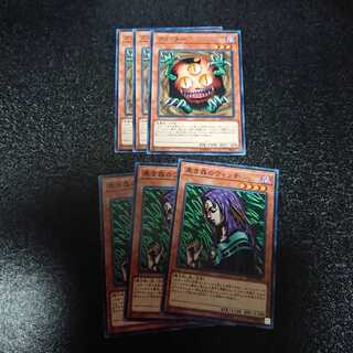 クリッター、黒き森のウィッチ