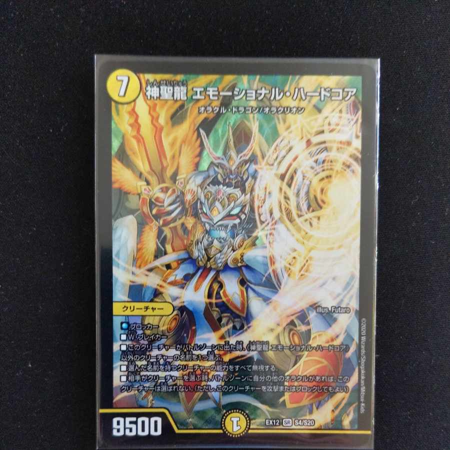 神聖龍 エモーショナル・ハードコア SR S4/S20