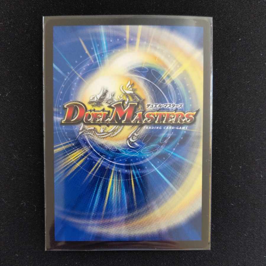 神聖龍 エモーショナル・ハードコア SR S4/S20