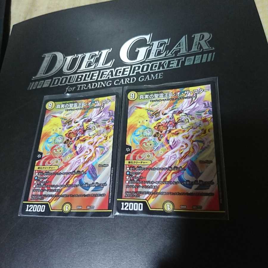 真実の聖霊王レオザスター