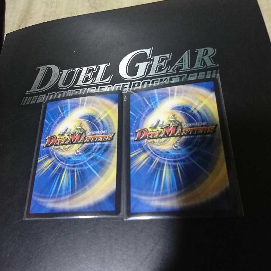 真実の聖霊王レオザスター