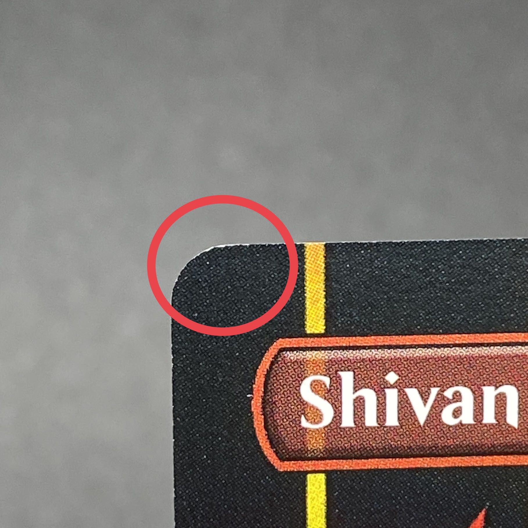 Shivan Dragon EN [Magic Con]