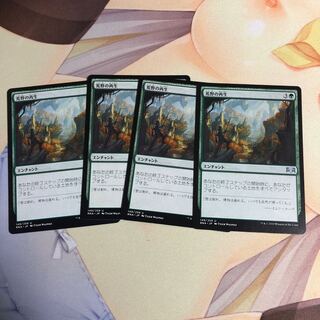 荒野の再生　4枚