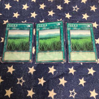 【もふもふ】湿地草原