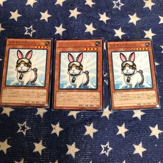 【もふもふ】レスキューラビット