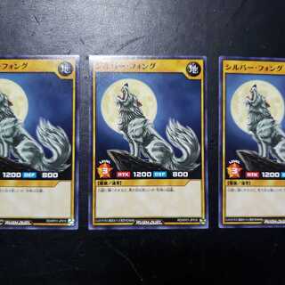 【0003】RD/KP01-JP010 シルバー・フォング