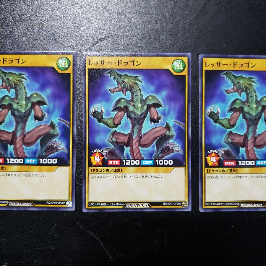 【0005】RD/JP01-JP002 レッサー・ドラゴン