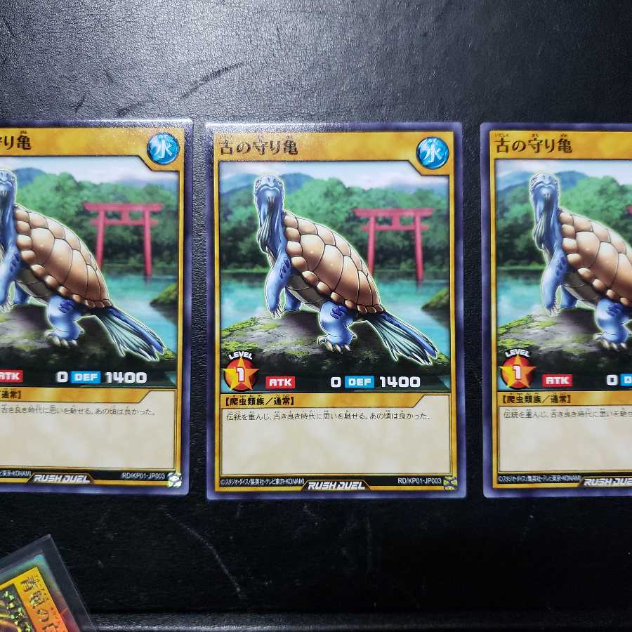 【0007】RD/KP01-JP003 古の守り亀