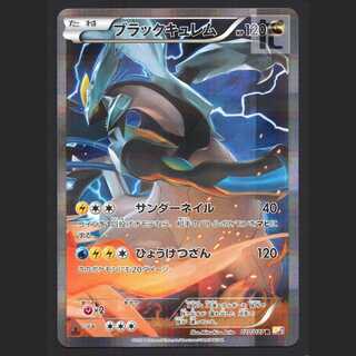 CP XY 19枚 R C プロモ まとめ ダークライ ホワイトキュレム　(d) 2025年最新】ダークライ プロモの人気アイテム - メルカリ