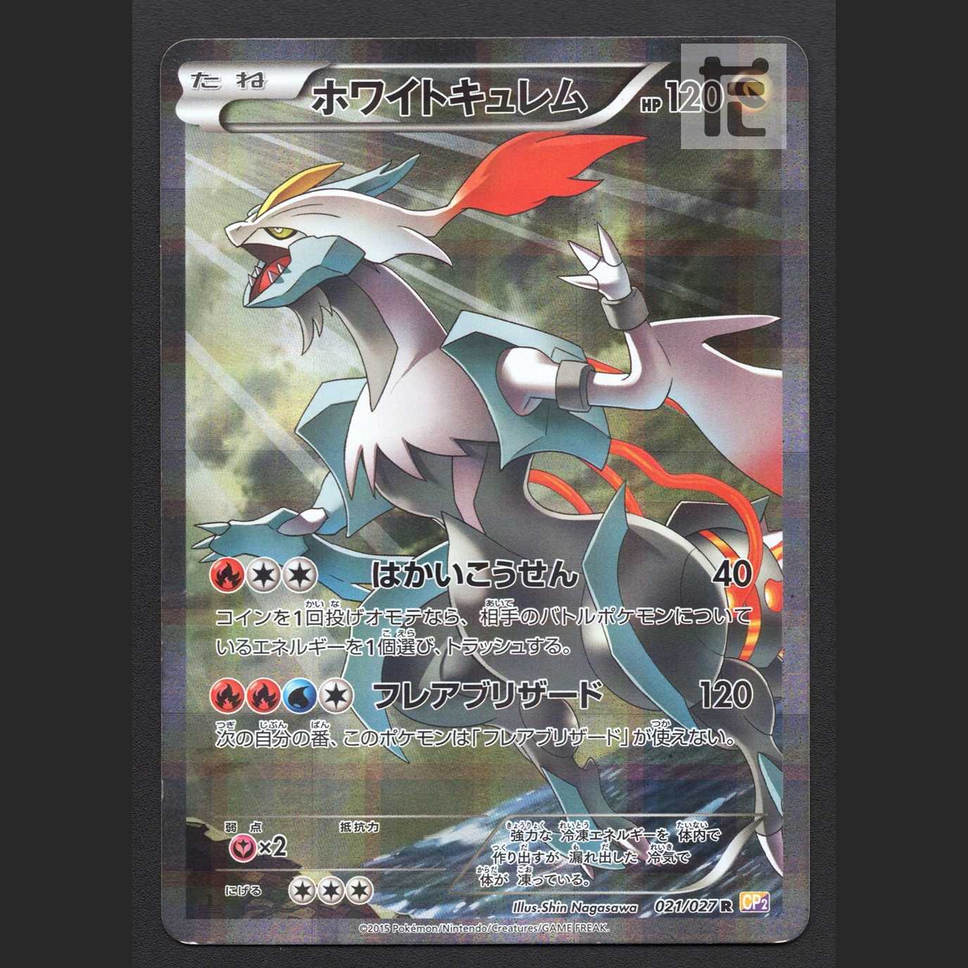 HoWightKyurem [Plaid] 1ed CP2/Control:MP7445