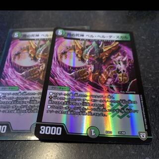 ベルヘルデスカル　2枚　 2枚