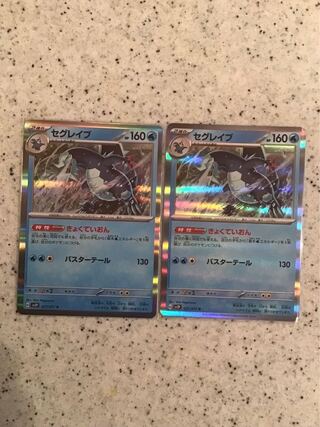 セグレイブ R 027/071