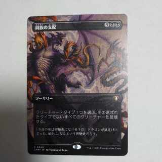 同族の支配　ボーダレス