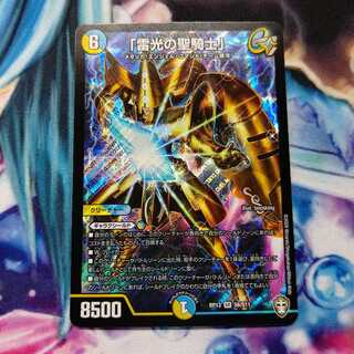 ライトニングソードパラディン 雷光の聖騎士 １枚