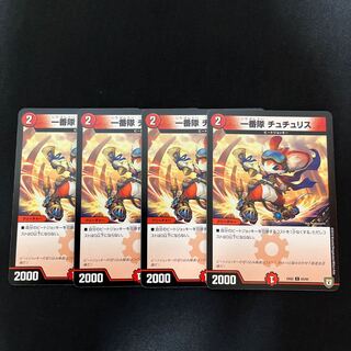 First team Tutu Squirrel C 63/84