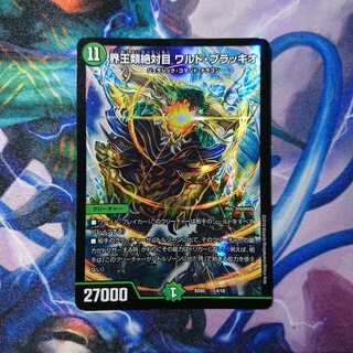 界王類絶対目ワルドブラッキオ