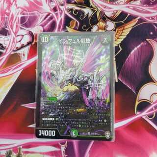 インフェル龍樹