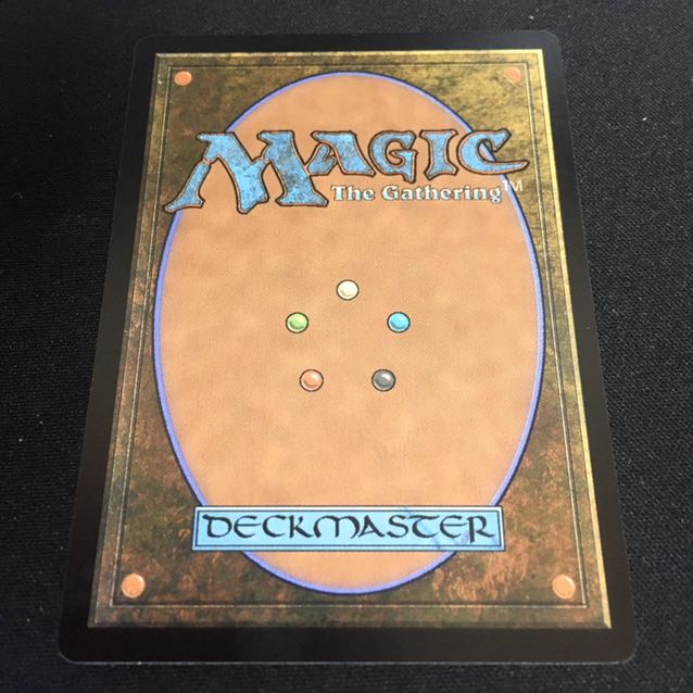 【IKO】海駆けダコ 拡張アート(英語)