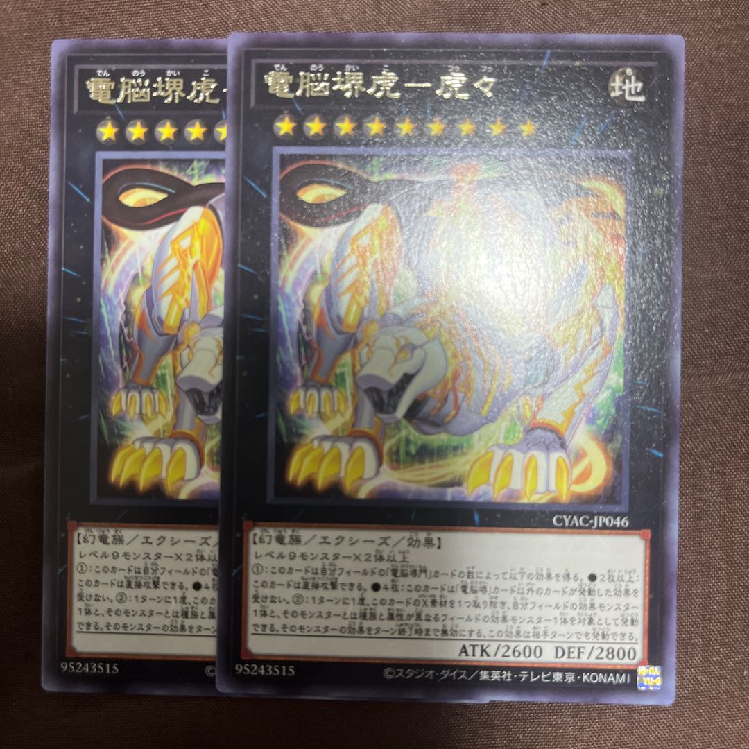 電脳堺虎-虎々 レア JP046
