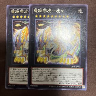 電脳堺虎-虎々 レア JP046