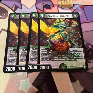 ライマー・ドルイド VR 10/95