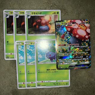 ラフレシア進化