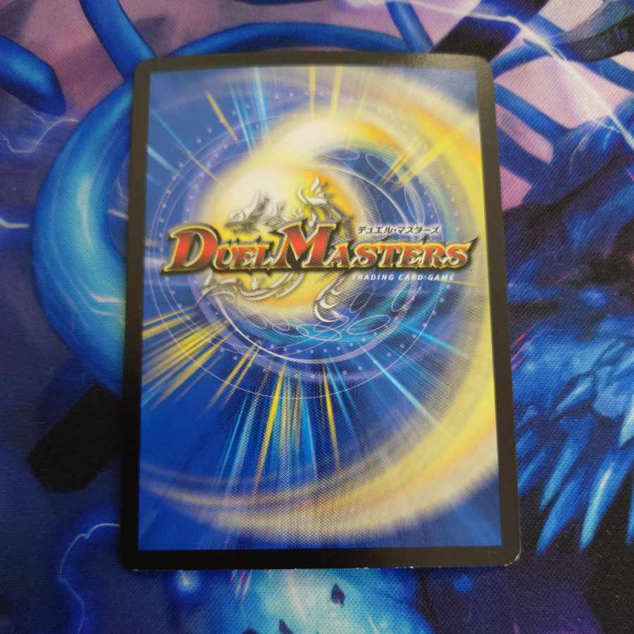 Proten! Ginga MAX R 24/95