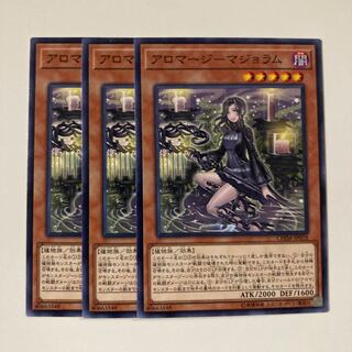 Aromage - marjoram Close 1623