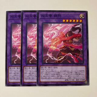 Dual Avatar Fists - Armored Ah-Gyo Close 1639