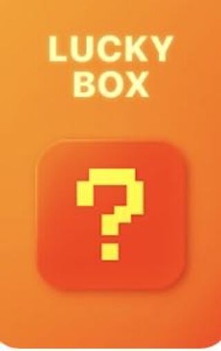 お楽しみラッキー袋