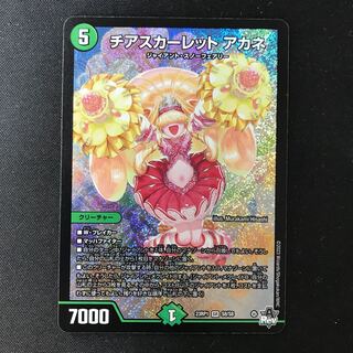 Cheer Scarlet Whitney SR S8/S8