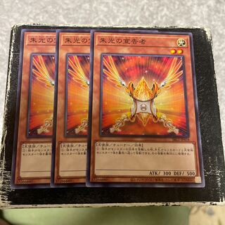 朱光の宣告者 ノーマル3枚