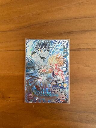 Dragon Ball Heroes Son Gohan Boyhood