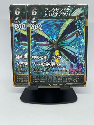 【蟲神器】アレクサンドラトリバネアゲハ×2、ニセハナマオウカマキリ×2