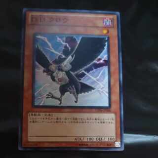 D.D.クロウ ノーマル JP006　【木林堂】