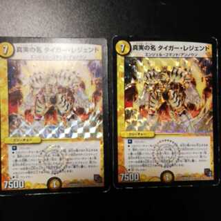 真実の名タイガー・レジェンド2枚