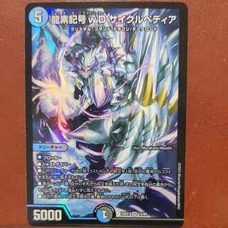 傷あり　dvbセット割引 龍素記号wD サイクルペディア SR