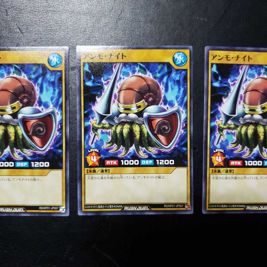 【0008】RD/KP01-JP007 アンモ・ナイト