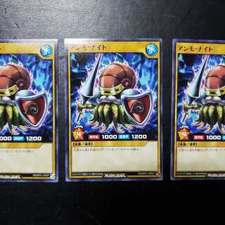 【0008】RD/KP01-JP007 アンモ・ナイト