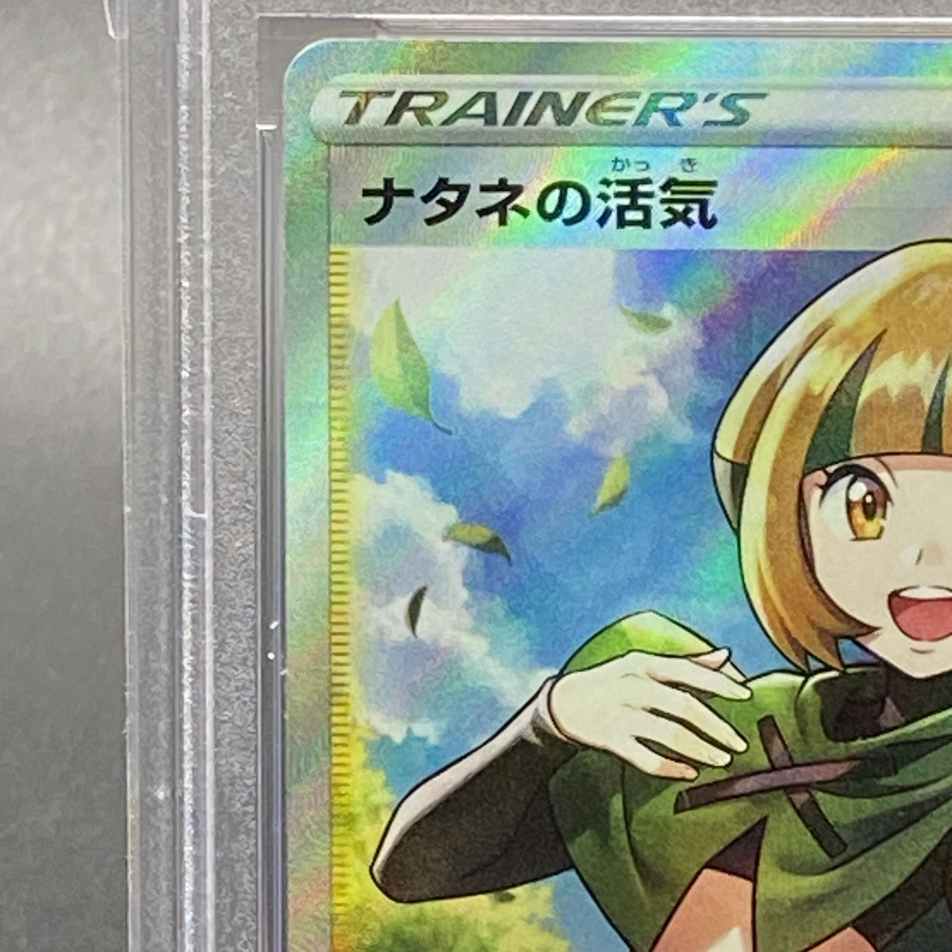 [PSA10] Vivify SR 078/067 by Gardenia