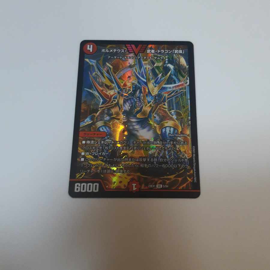 Bormetheus, warrior, dragon "Wuwei"