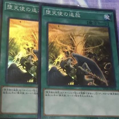 堕天使の追放　２枚　スーパー