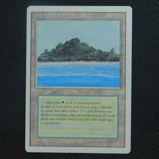 Tropical Island／Revised ・リバイズド・第三版　英１枚