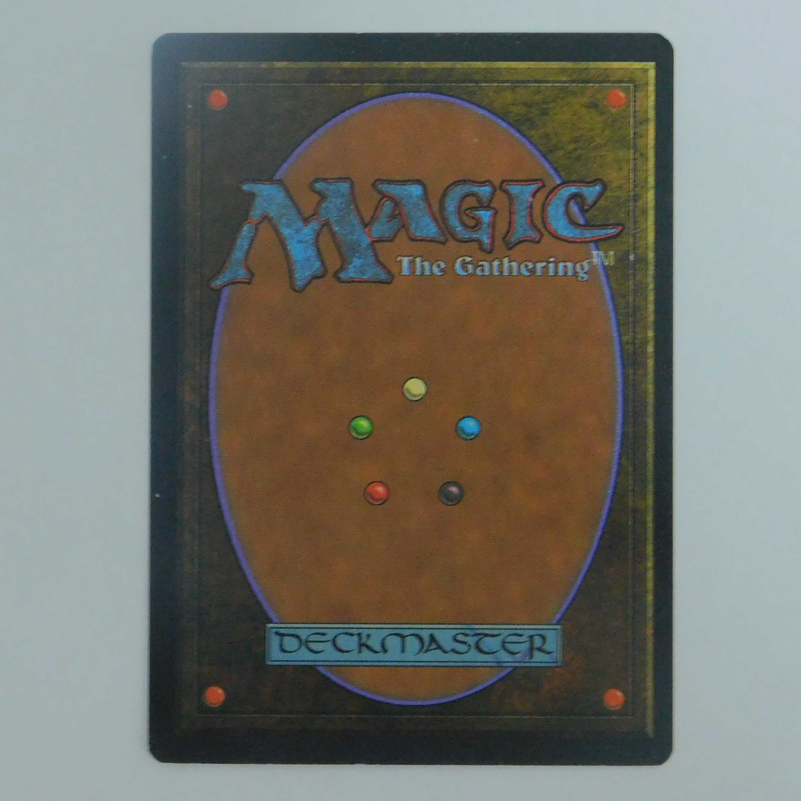 Tropical Island／Revised ・リバイズド・第三版　英１枚