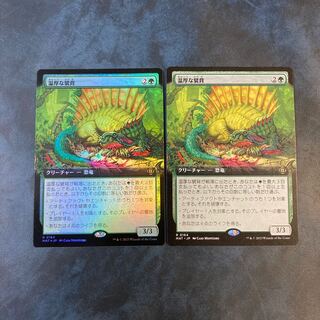 【MAT-BF】　温厚な襞背　Foil1 通常1   2枚　レア 2枚