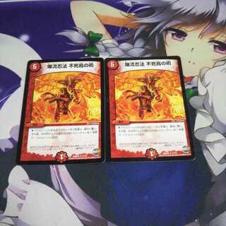 爆流忍法不死鳥の術 中古2枚