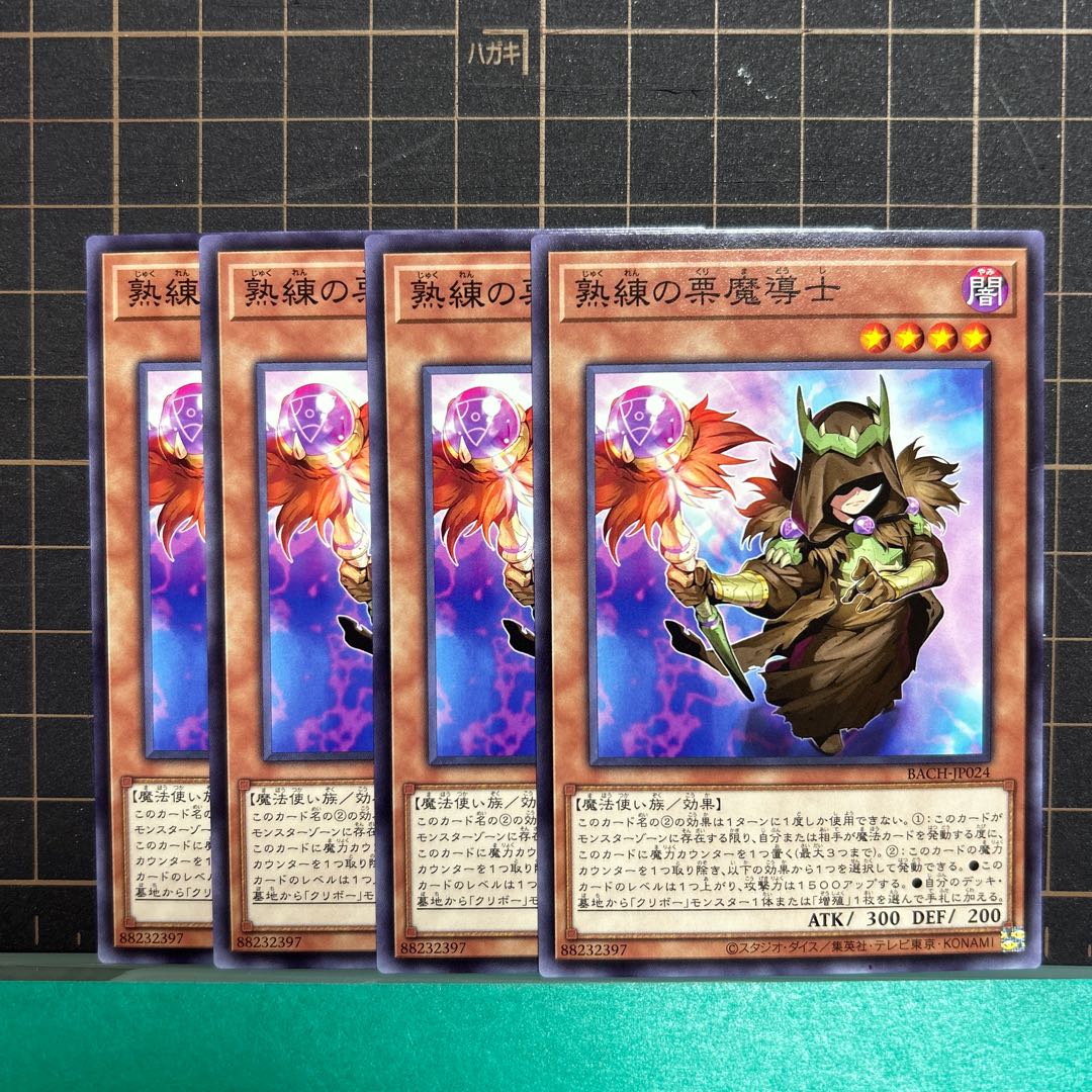 Skilled chestnut mage Normal JP024