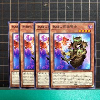 熟練の栗魔導士 ノーマル JP024